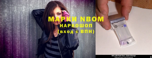 индика Покровск