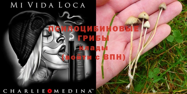прущая мука Зерноград